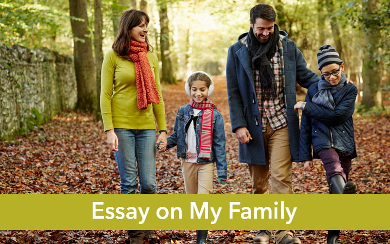 Essay on My Family (Small Family)