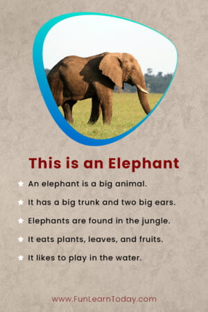 This is an elephant