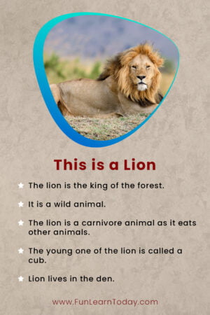 This is a Lion