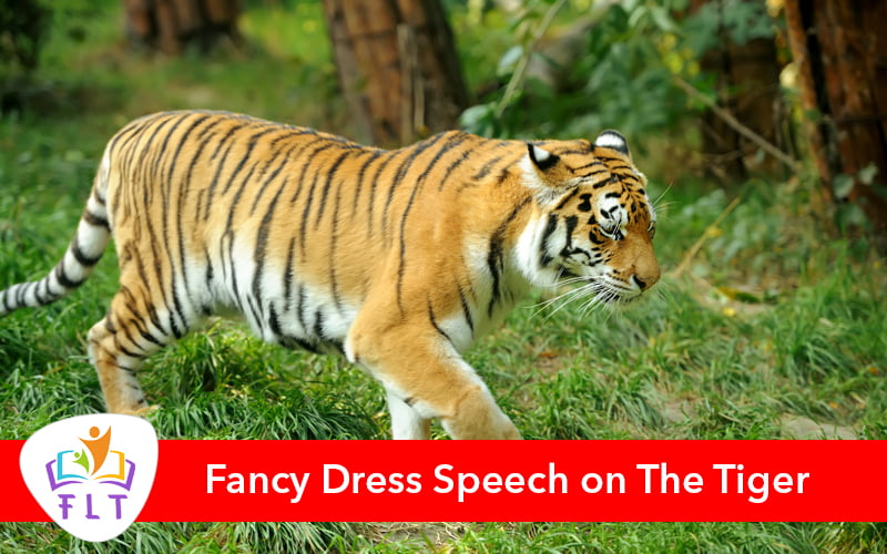 Fancy Dress Speech on The Tiger for LKG, UKG, Class1,2,3 Children