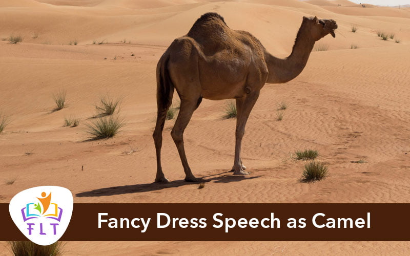 Fancy Dress Speech as Camel