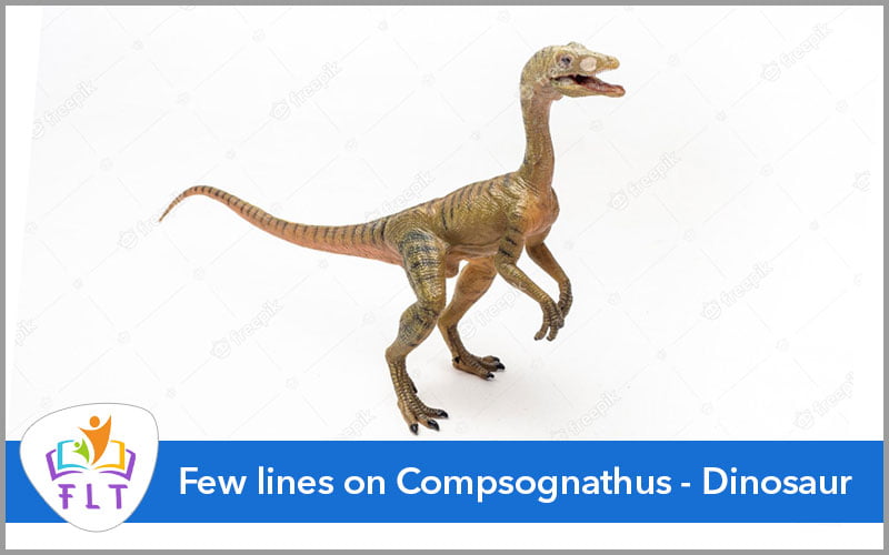 Few lines on Compsognathus- Dinosaur
