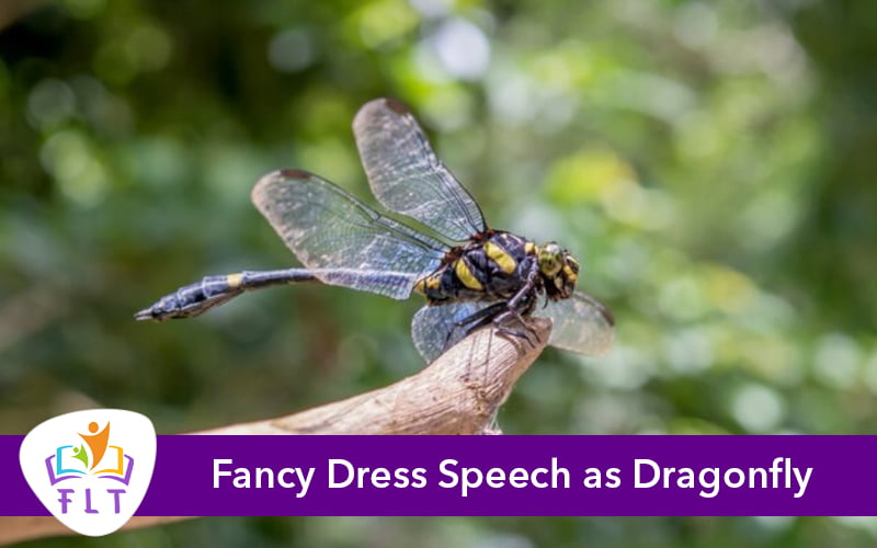 Fancy Dress Speech as Dragonfly