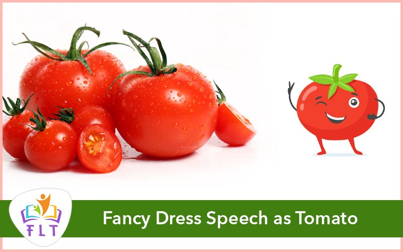 Fancy Dress Speech as Tomato